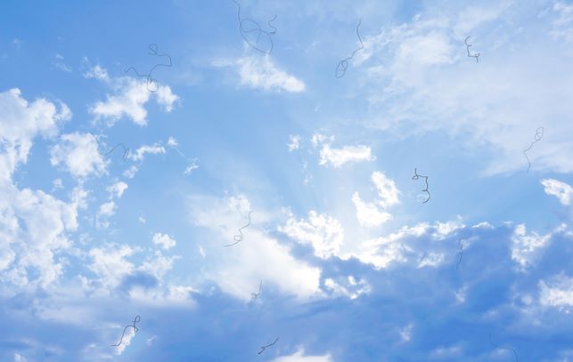 Point of view of looking at sky with eye floaters